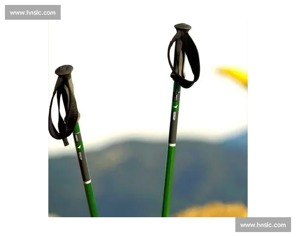 明星徒步同款！登山杖正确使用技巧全解析